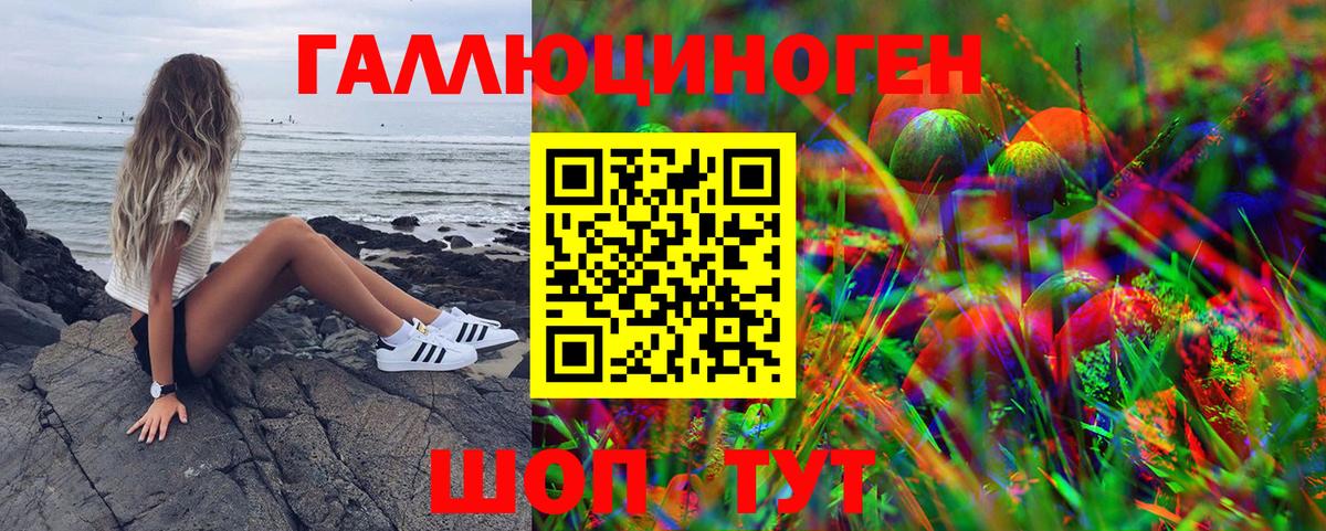Псилоцибиновые грибы мухоморы Гатчина