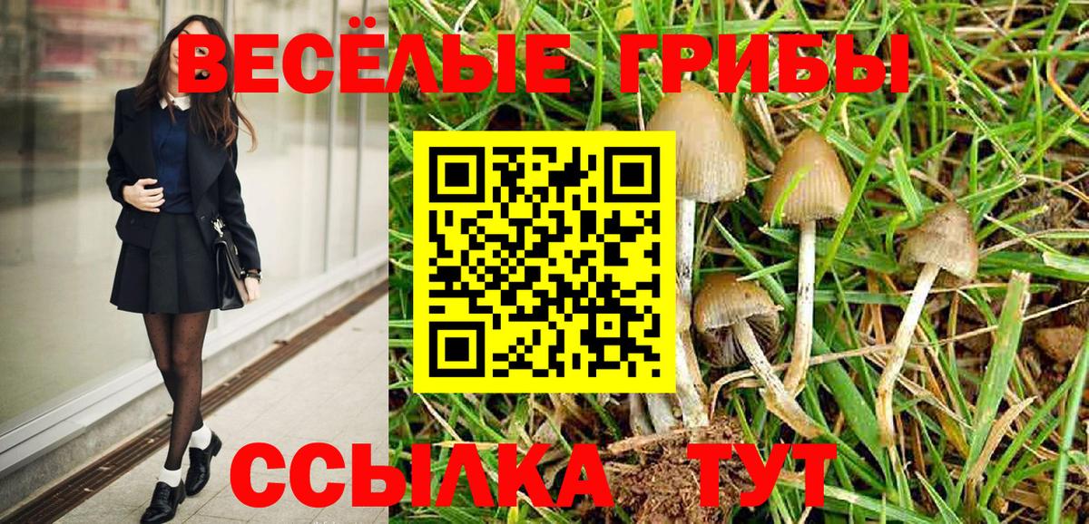Гатчина  Галлюциногенные грибы прущие грибы  Вход с VPN 